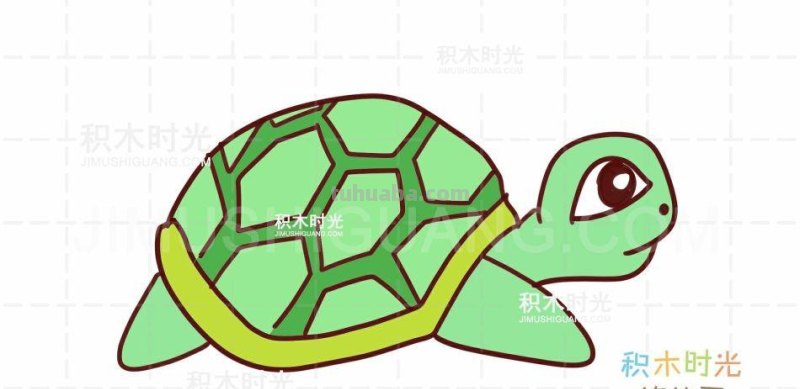 乌龟简笔画教程，画乌龟简笔画
