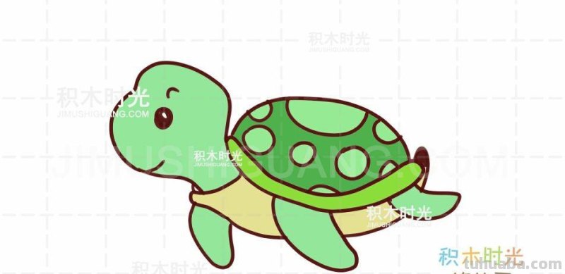 乌龟简笔画教程，画乌龟简笔画