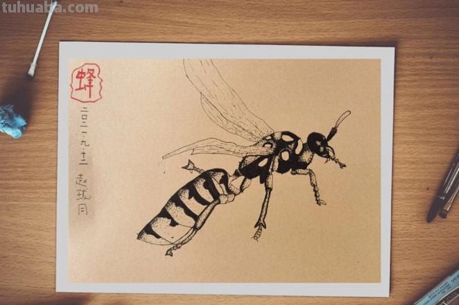 虫子速写画技巧 昆虫应该怎么画？