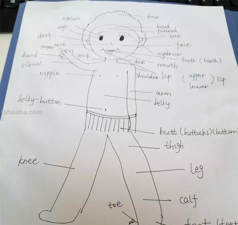 暑假来了，威实外不一样的语言作业，值得借鉴