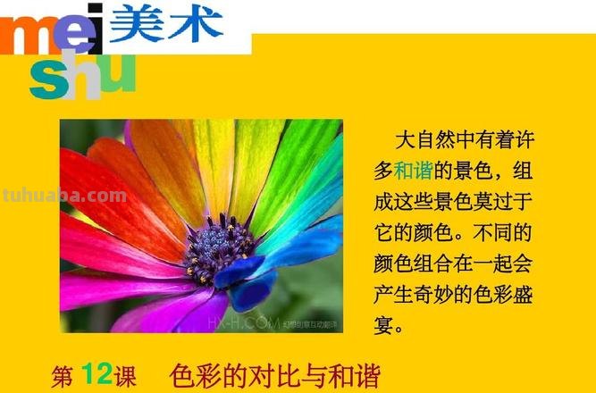 探讨色彩在艺术中的重要性 