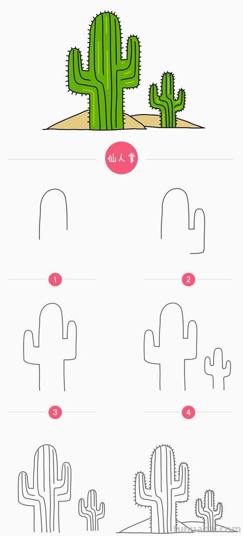 仙人掌简笔画的画法 仙人掌简笔画的画法图片