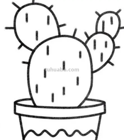 仙人掌怎么画简笔可爱