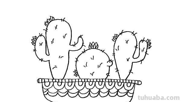 如何画出一个仙人掌