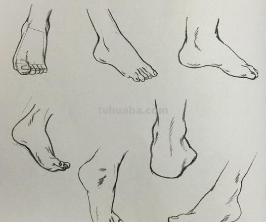 脚速写简单 速写手脚总是画小了怎么改正？