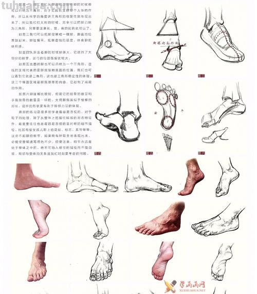 脚速写简单 速写手脚总是画小了怎么改正?