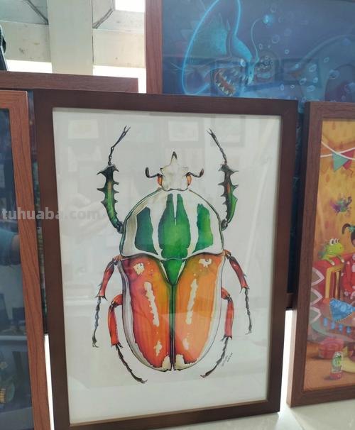 甲虫动漫怎么画彩铅 甲虫的颜色怎么涂？