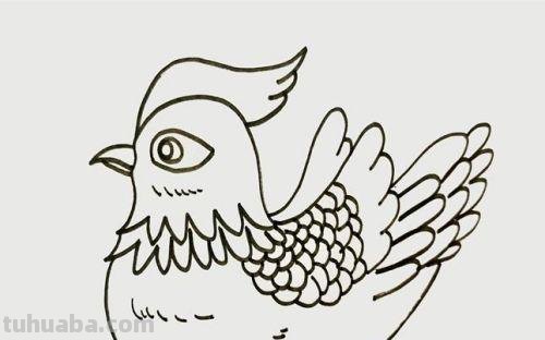 鸳鸯怎么画简笔画 鸳鸯笔画顺序？