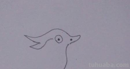 鸳鸯怎么画简笔画 鸳鸯笔画顺序？