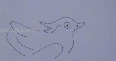 鸳鸯怎么画简笔画 鸳鸯笔画顺序？