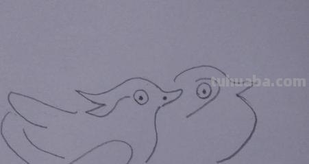 鸳鸯怎么画简笔画 鸳鸯笔画顺序？