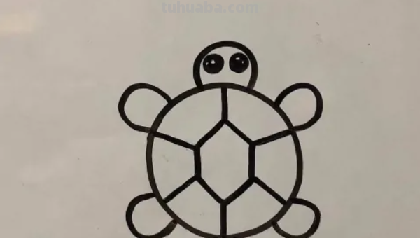 怎么画乌龟又简单又好看 怎么画乌龟又简单又好看