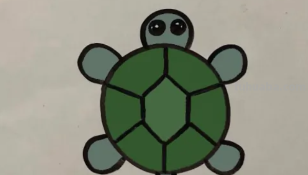 怎么画乌龟又简单又好看 怎么画乌龟又简单又好看