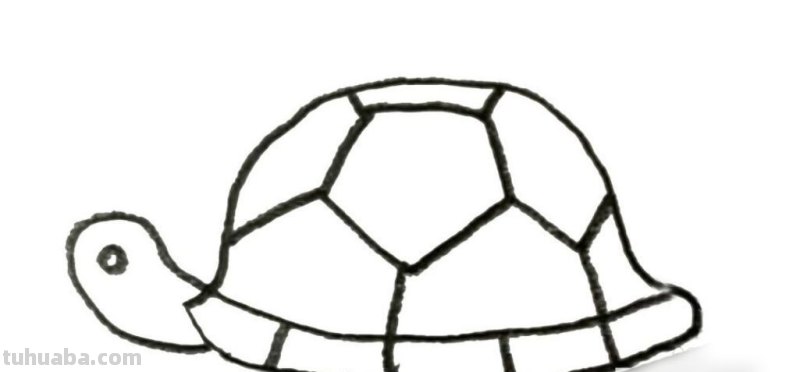 如何画一个小乌龟 如何画一个小乌龟