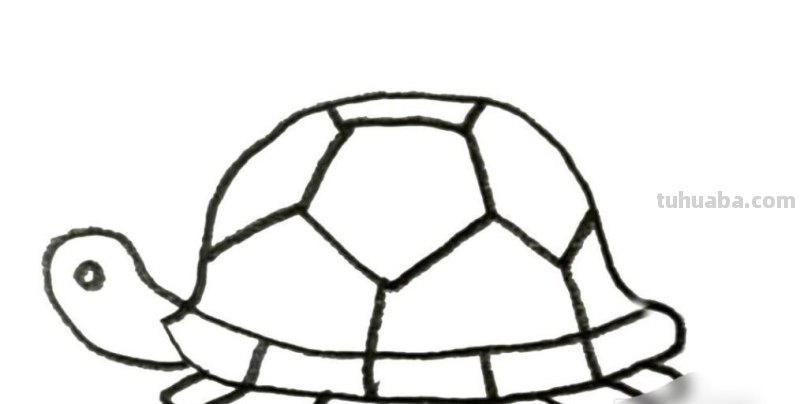 如何画一个小乌龟 如何画一个小乌龟