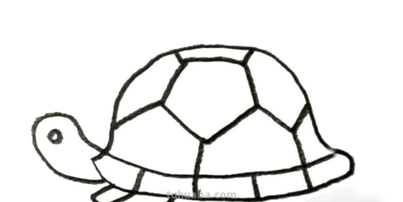 如何画一个小乌龟 如何画一个小乌龟