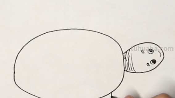 乌龟怎么画 乌龟怎么画