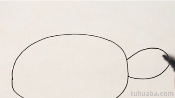 乌龟怎么画 乌龟怎么画