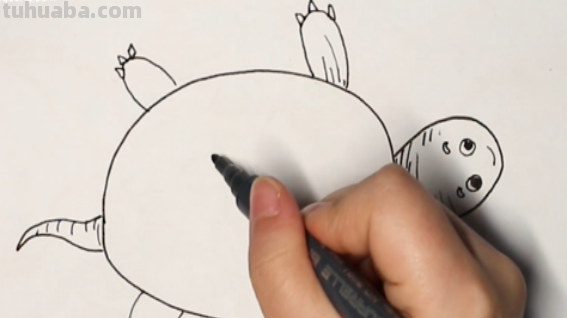 乌龟怎么画 乌龟怎么画