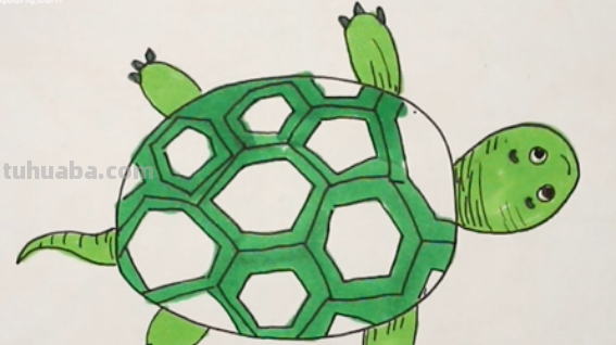 乌龟怎么画 乌龟怎么画