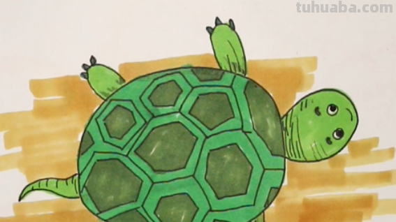 乌龟怎么画 乌龟怎么画