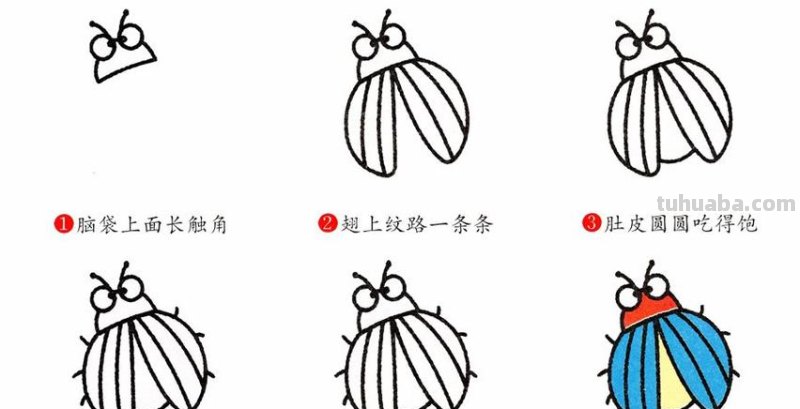 萤火虫简笔画 萤火虫简笔画简单又好看