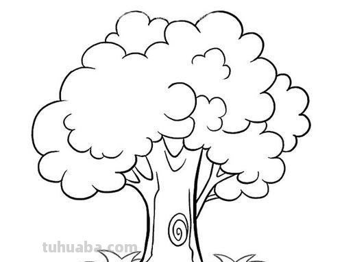 如何画大树简笔画 如何画大树简笔画图片