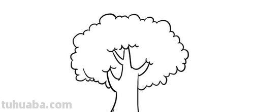 如何画大树简笔画 如何画大树简笔画图片