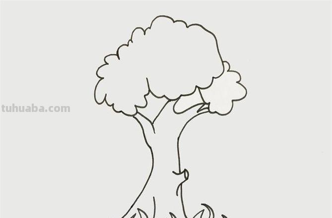 如何画大树简笔画 如何画大树简笔画图片