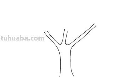树怎么画简单又好看?