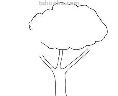 树怎么画简单又好看?