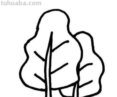 树怎么画简单又好看?