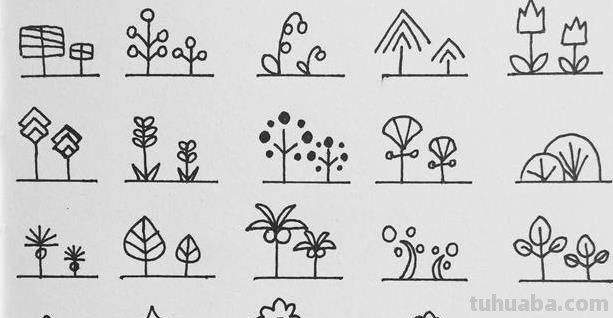 树怎么画简单又好看?