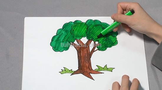 大树简笔画