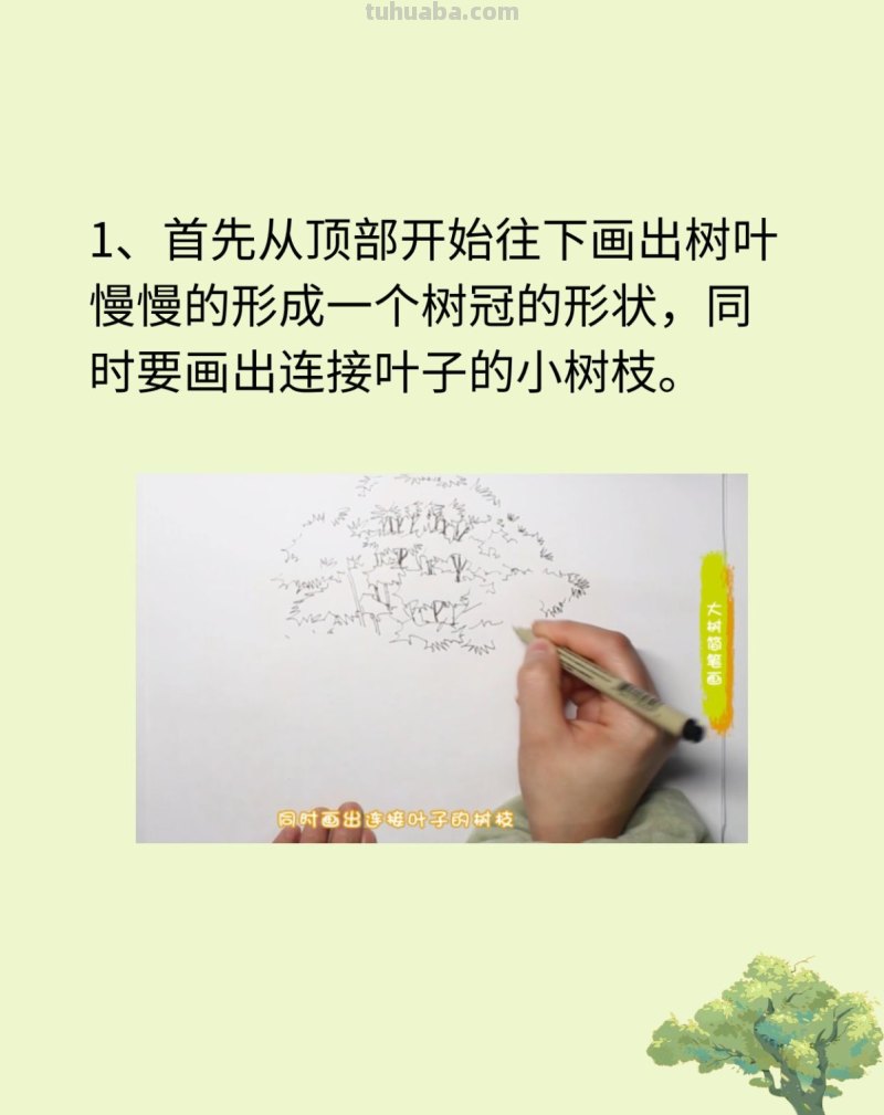大树简笔画