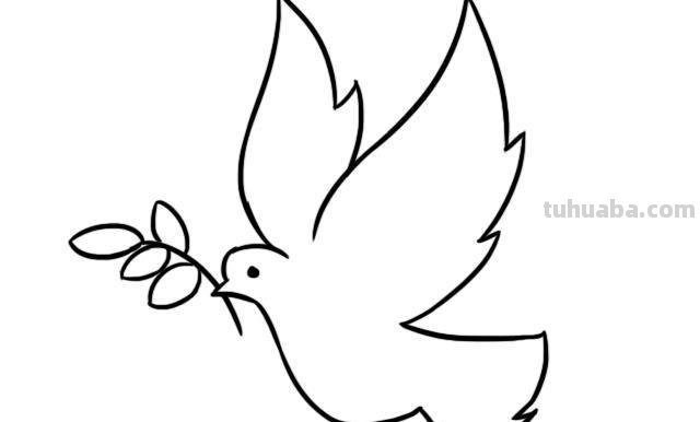 鸽子简笔画的步骤 鸽子简笔画的步骤怎么写