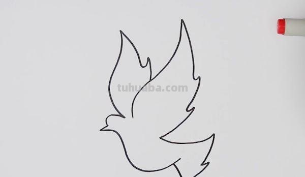 鸽子简笔画的步骤 鸽子简笔画的步骤怎么写