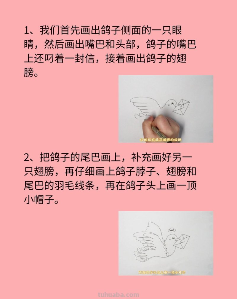 鸽子简笔画 鸽子简笔画