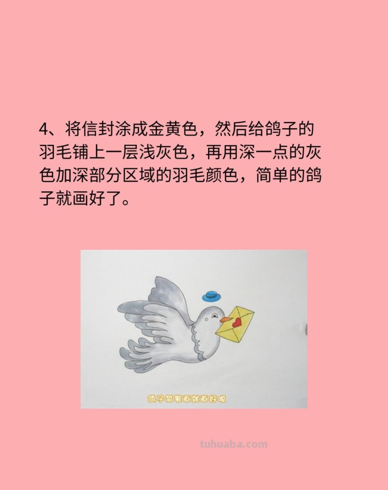 鸽子简笔画 鸽子简笔画