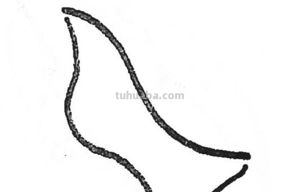 简笔画鸽子的画法 简笔画鸽子的画法