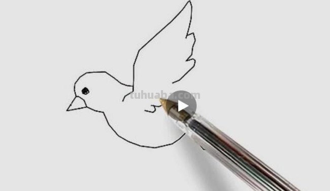 一笔画鸽子怎么画? 一笔画鸽子怎么画?