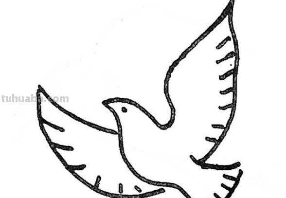 简笔画鸽子的画法 简笔画鸽子的画法