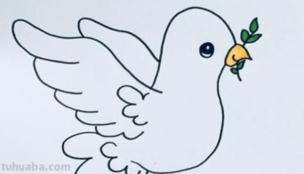 鸽子怎么画简笔画图片 鸽子怎么画简笔画图片