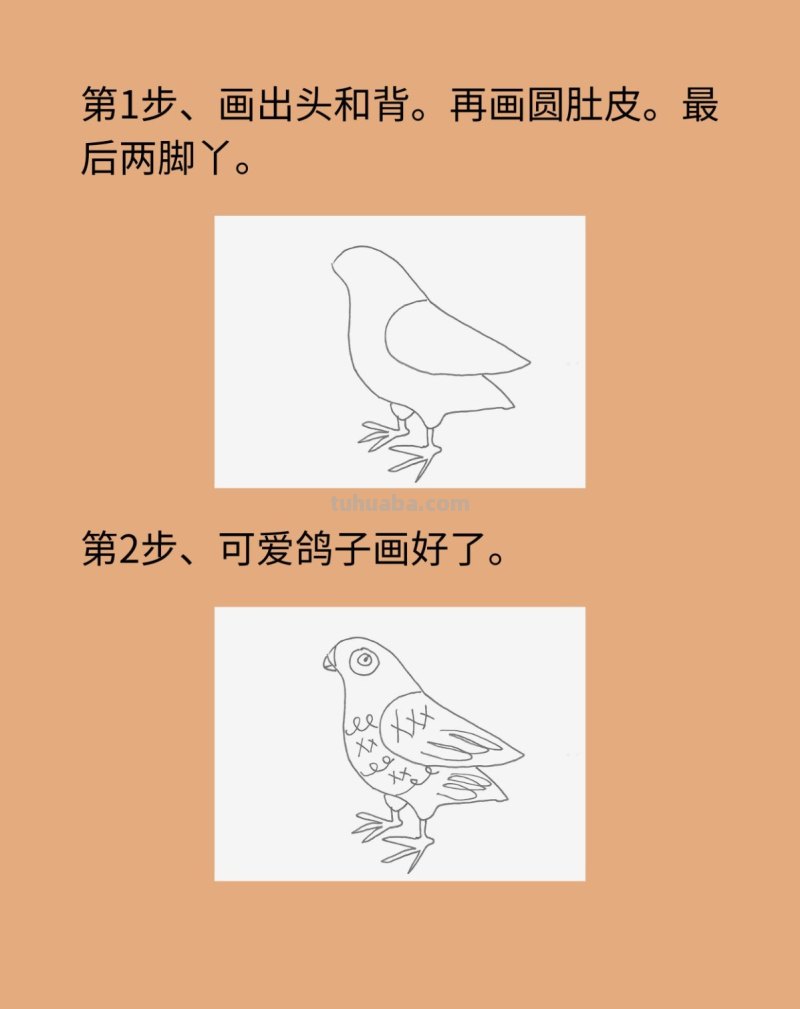 简单鸽子简笔画画法图片步骤 简单鸽子简笔画画法图片步骤