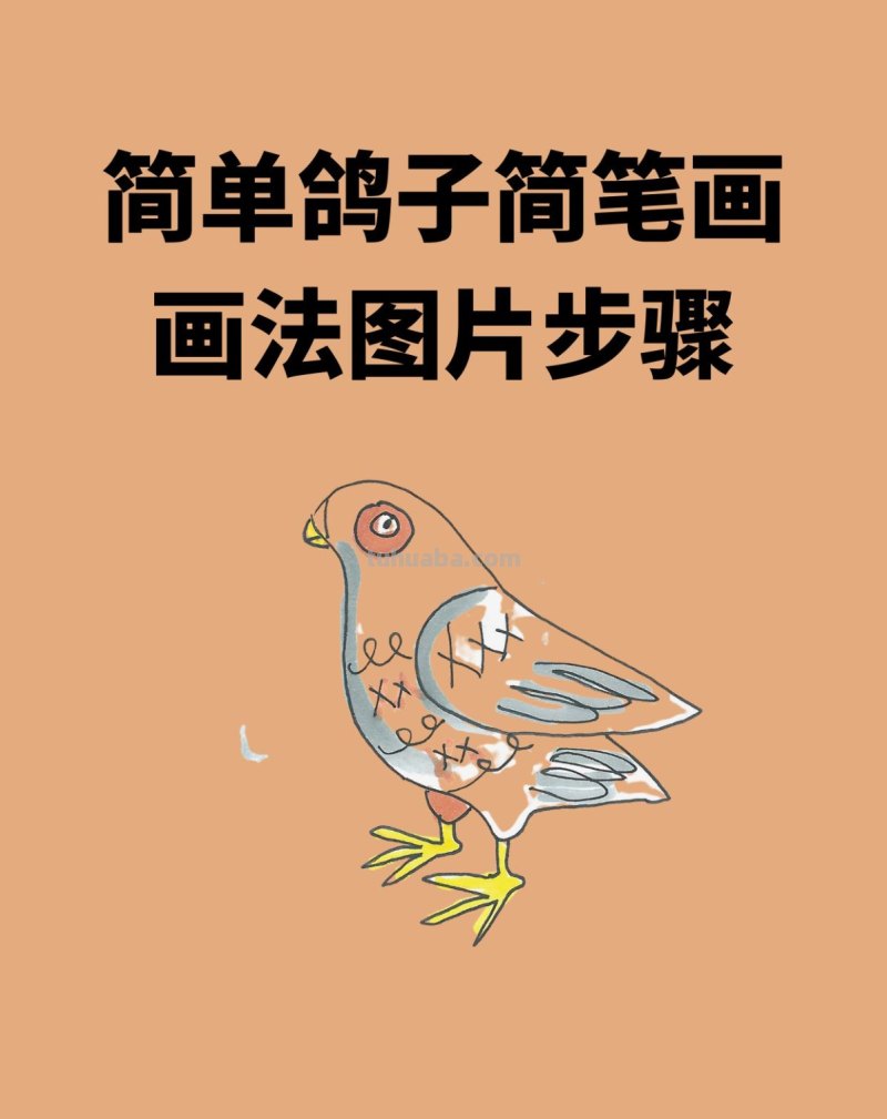 简单鸽子简笔画画法图片步骤 简单鸽子简笔画画法图片步骤