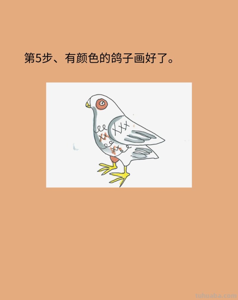 简单鸽子简笔画画法图片步骤 简单鸽子简笔画画法图片步骤