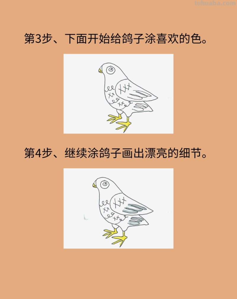 简单鸽子简笔画画法图片步骤 简单鸽子简笔画画法图片步骤