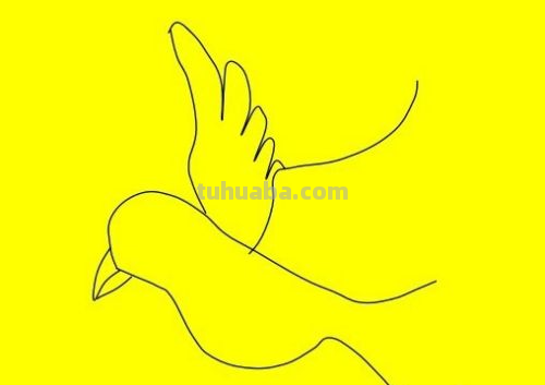 简笔画鸽子的画法 简笔画鸽子的画法