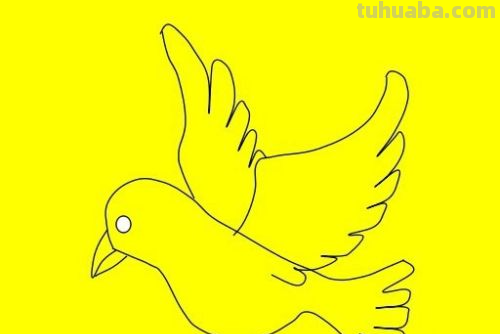 简笔画鸽子的画法 简笔画鸽子的画法