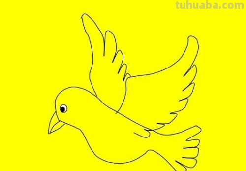 简笔画鸽子的画法 简笔画鸽子的画法